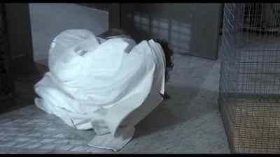 Rob, I can't believe
it, I can't believe it! - The Incredible Shrinking Woman