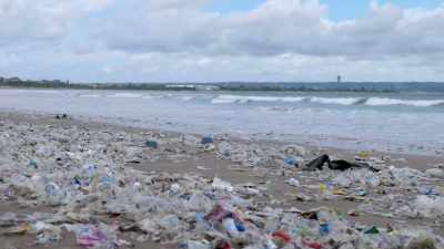 [Rob] The United Nations
Environment Program defines - Plastic Earth