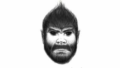 [Rob]  Yeah, yeah.
 That's incredible. - Expedition Bigfoot