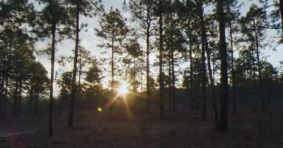 [Robert Abernathy] If it's a perfect
morning, it is completely dead calm. - Stars in the Sky: A Hunting Story