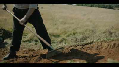 [Robert chuckles softly] - The Dig