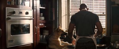 ROBERT Here you go Just the way you like it - I Am Legend