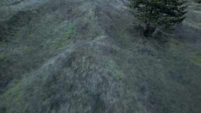 Robert James Holtsclaw shot to death, - Murder Mountain