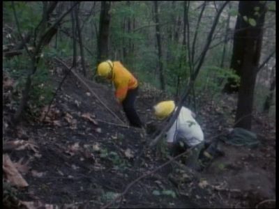 ROBERT STACK:
Maurice Rosenblum's - Unsolved Mysteries
