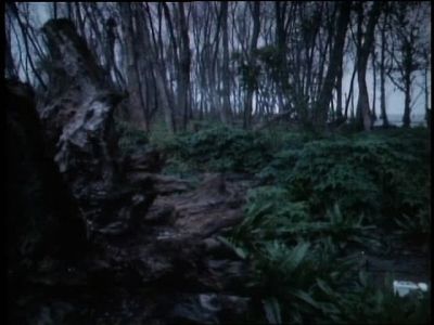 ROBERT STACK (VOICEOVER):
The Louisiana bayou country-- - Unsolved Mysteries