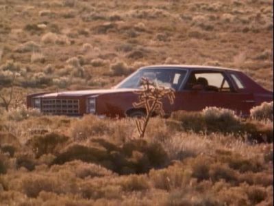 ROBERT STACK (VOICEOVER): Two
days after the search began, - Unsolved Mysteries