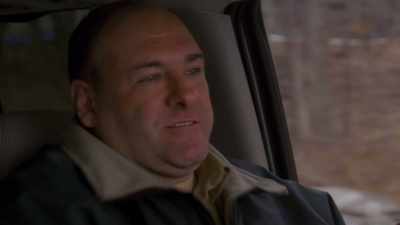 [Robin] He would get himself
ready for a scene - Wise Guy: David Chase and The Sopranos