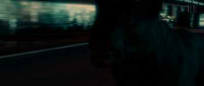 (rock music) (cougar snarling) - Cocaine Cougar