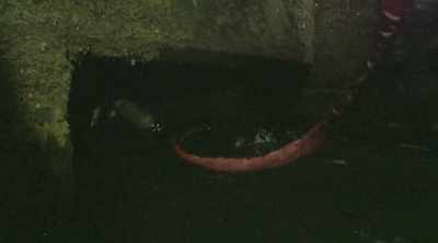 [rock music playing] - Sewer Divers