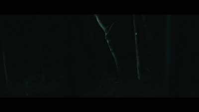 (rock tapping) - The Bigfoot Trap