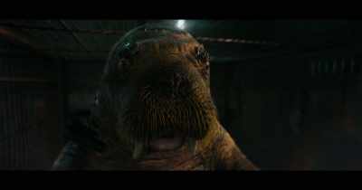-Rocket, Teefs, Floor go now.
-...but P13 is still out, - Guardians of the Galaxy Vol. 3
