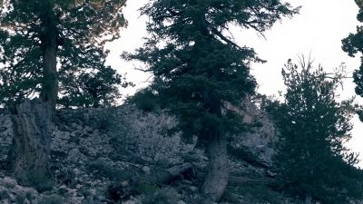 [rocks clattering lightly] - Homeland