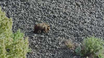 [rocks clattering] - Epic Yellowstone
