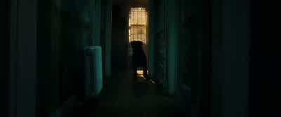 Rocky... go to the door. - Don't Breathe