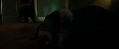 Rocky, hey, are you okay? - Don't Breathe