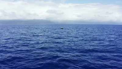 [rod whirring] - Deadliest Catch: Bloodline