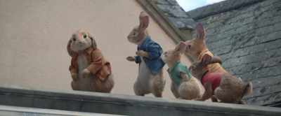 Rodent? Rodent? - Peter Rabbit