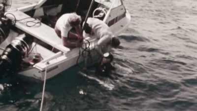 RODNEY: I'm in the small
half-size boat looking after him, - Playing with Sharks