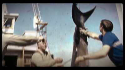 RODNEY: On that trip,
Alf thought it was his duty - Playing with Sharks
