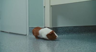 Rodney She's comin' to get me - Doctor Dolittle