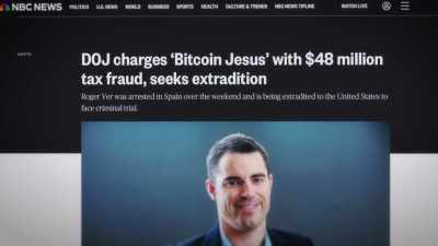 Roger had allegedly evaded - Money Electric: The Bitcoin Mystery