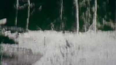  Roger immediately grabbed
 his camera from a saddlebag - Expedition Bigfoot
