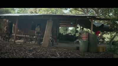 Roger, look for them.
They can't go that far. - Virgin Forest