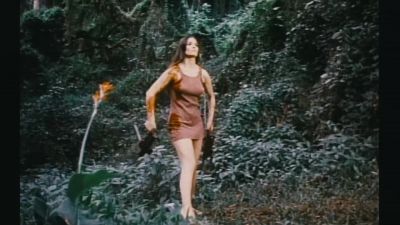 Roger says Exploitation pictures don't need plots - Corman's World: Exploits of a Hollywood Rebel