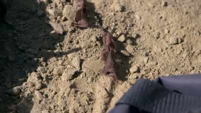 Roger:
WHEN THEY LOOKED AT THE BODY, - Bloodlands