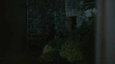 - Roisin's friends in Cambridge - The Deceived