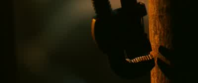 Roland. - The Dark Tower