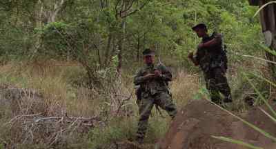Roll down your sleeves, Miller.
We're going in the bush. - Sniper