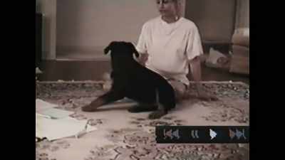 - Roll over.
- Paul didn't want that dog. - Ken and Barbie Killers: The Lost Murder Tapes