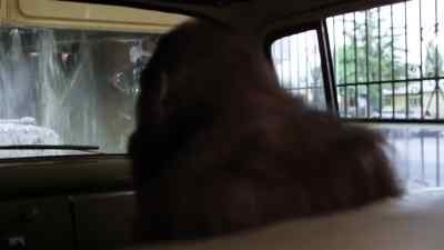 Roll up your window. - Every Which Way but Loose