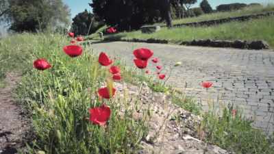 Romans may have stopped building roads, - Ancient Engineering