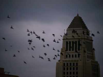 - [♪ romantic music playing]
- [wings fluttering] - She Taught Love