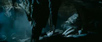 - Ron! Ron, are you okay? - I'm fine. - Harry Potter and the Chamber of Secrets