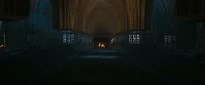 RON: So say you really needed the toilet... - Harry Potter and the Order of the Phoenix