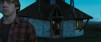 Ron, tell your father supper's nearly ready. - Harry Potter and the Deathly Hallows: Part 1