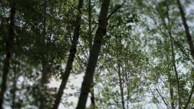 -[Ronny] Anything interesting?
-This looked
like a print, - Expedition Bigfoot
