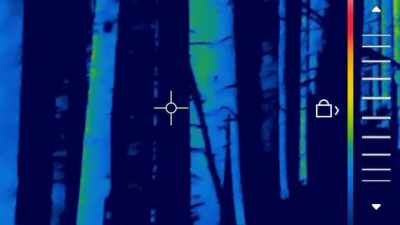 [Ronny]  Are you guys
 hearing any movement? - Expedition Bigfoot
