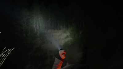[Ronny] Can you just explain
what you just saw - Expedition Bigfoot