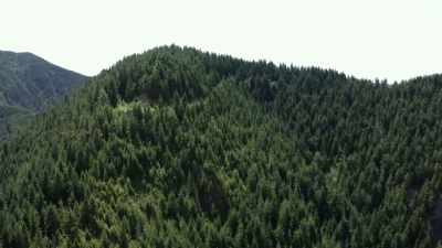 [Ronny]  Holy crap,
 that looks like
 a potential nest. - Expedition Bigfoot