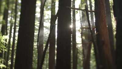 [Ronny]  I'm super-excited
 to see what Russell found. - Expedition Bigfoot