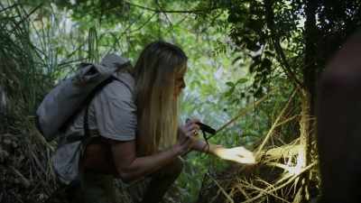 [Ronny] Maybe
juvenile Sasquatches - Expedition Bigfoot