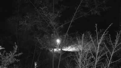 [Ronny]  Now something
 could be standing right her - Expedition Bigfoot