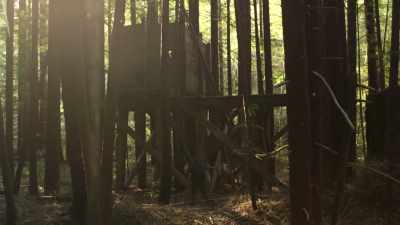 [Ronny] Should we blast
a bigfoot recording - Expedition Bigfoot