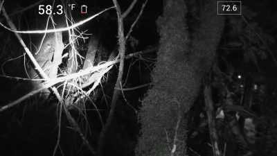 [Ronny speaking] - Expedition Bigfoot