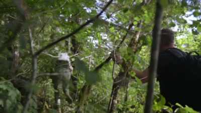 [Ronny speaking] - Expedition Bigfoot