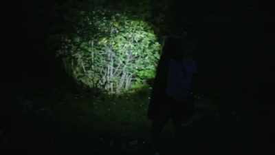 [ronny] you think we're kinda
goin' off the spot here? - Expedition Bigfoot